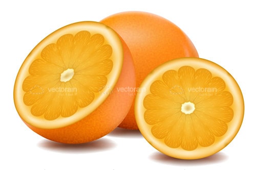 Illustrated Orange and Slices